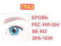 Магнитное развивающее пособие: "Тело человека: первые вопросы - первые ответы"