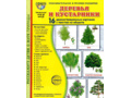 Демонстрационные картинки СУПЕР. Деревья и кустарники (16 шт.) в папке