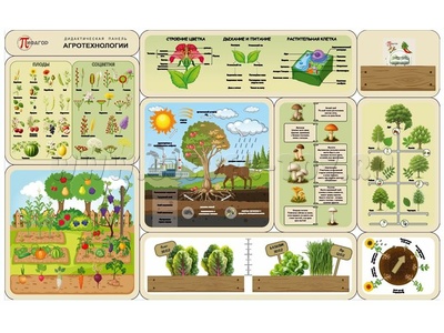 Дидактическая панель "Агротехнологии"