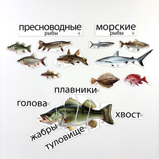 Набор магнитных карточек Кто такие рыбы? (к плакату Водоём, тема 1)
