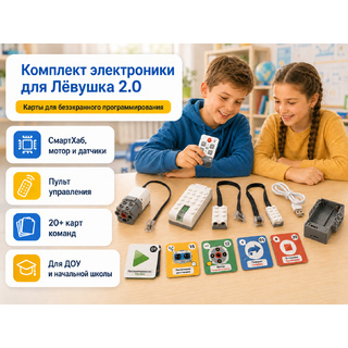 Комплект электроники для Лёвушка 2.0 + карты программирования
