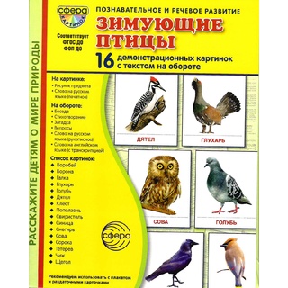 Демонстрационные картинки СУПЕР. Зимующие птицы (16 шт.) в папке