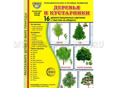 Демонстрационные картинки СУПЕР. Деревья и кустарники (16 шт.) в папке